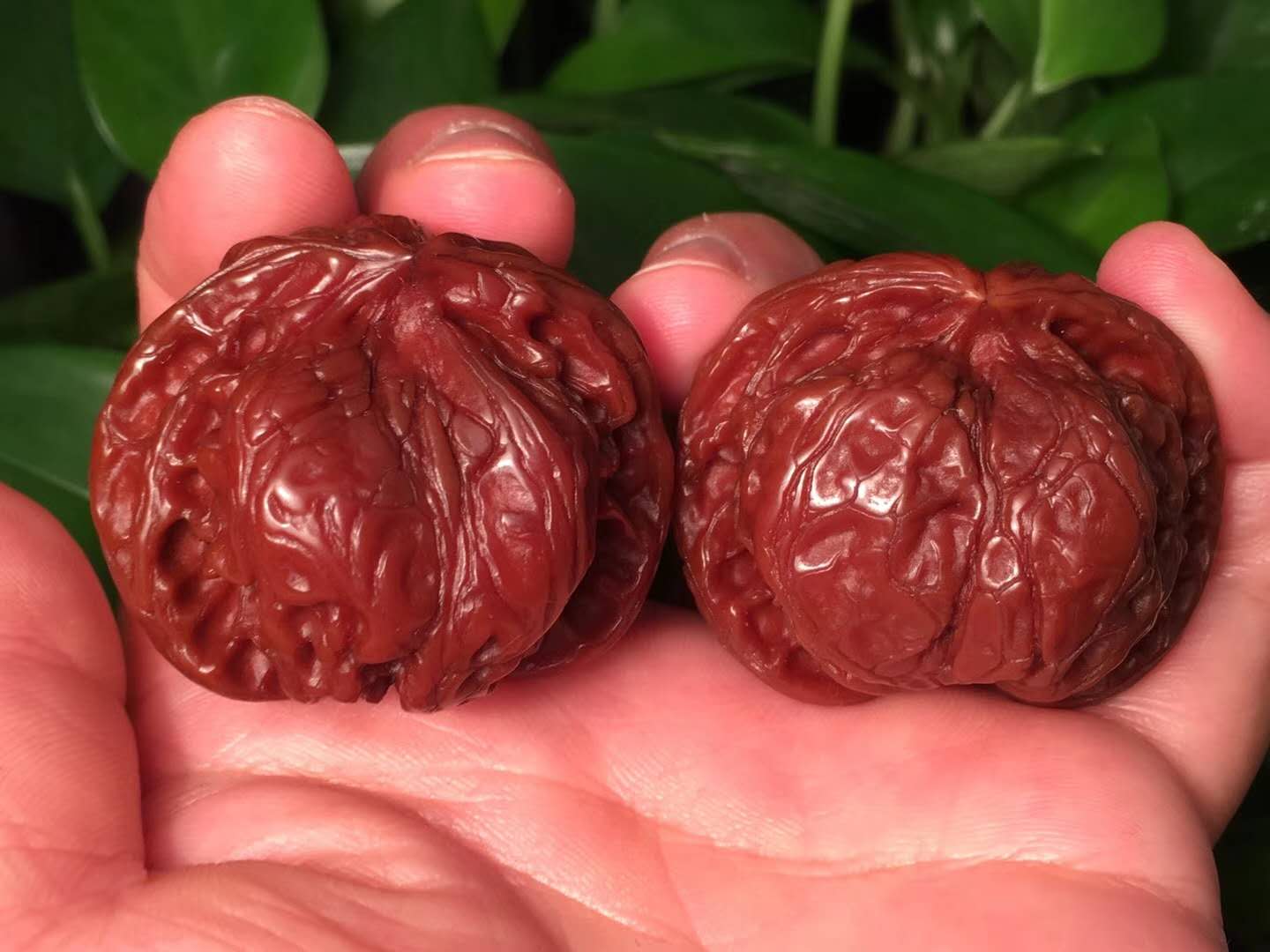 文玩核桃正确盘玩和保养方法,新入手文玩核桃需要入水吗