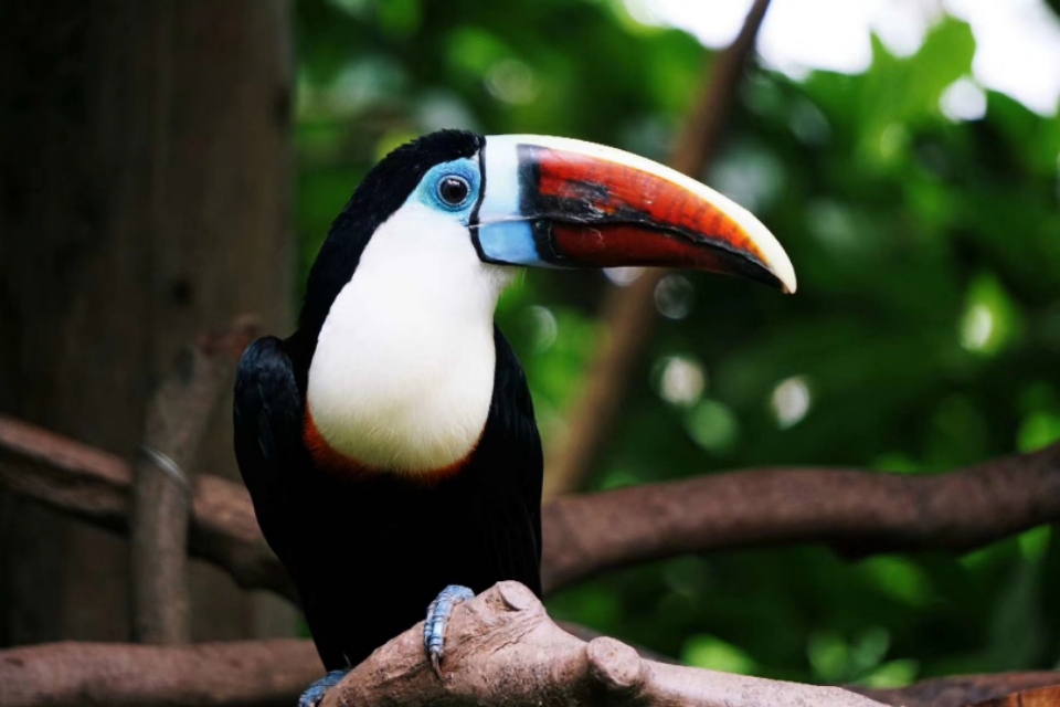 索尼微单a5100怎么导出视频 (索尼微单a5100可以拍视频吗)