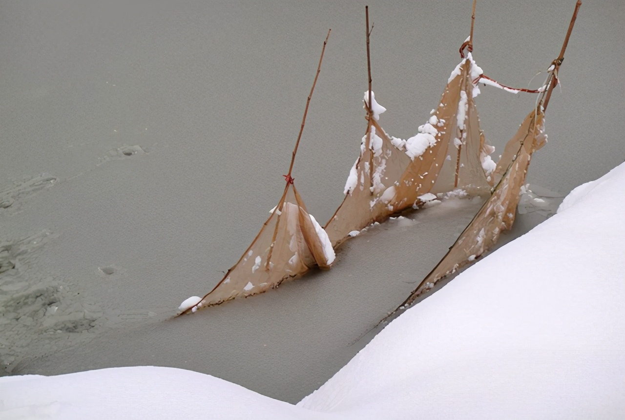 倒春寒螃蟹塘怎么办,低温寒潮鱼塘如何应对