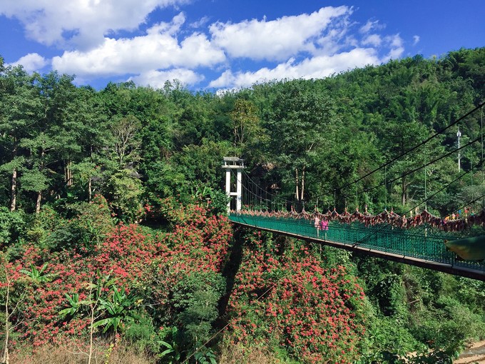 南宁至西双版纳旅游吃住行攻略,云南西双版纳旅游景点攻略自由行