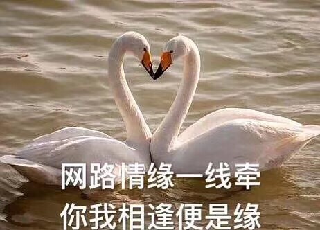 此生有你/纵然最终只是一场幻觉也无悔