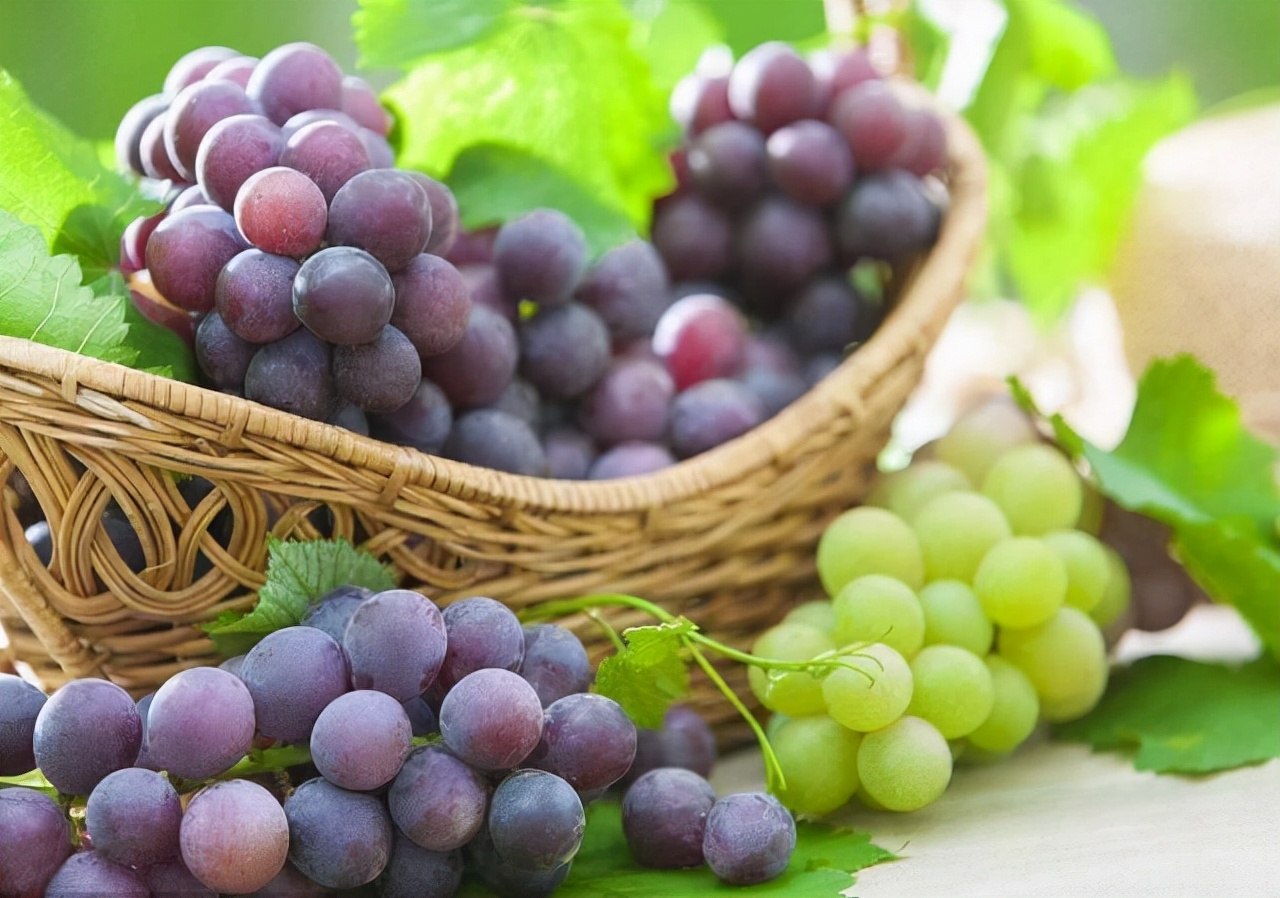 1-3个月孕妇吃什么水果最好,1-3个月孕妇禁止吃的水果