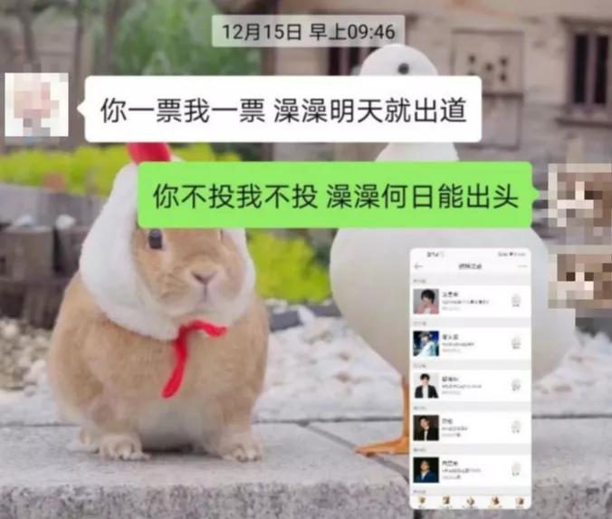 微博申诉道歉信,微博投诉微博