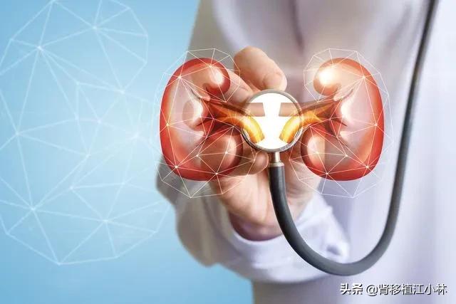 透析肾移植的真实经历,尿毒症肾移植后能根治吗