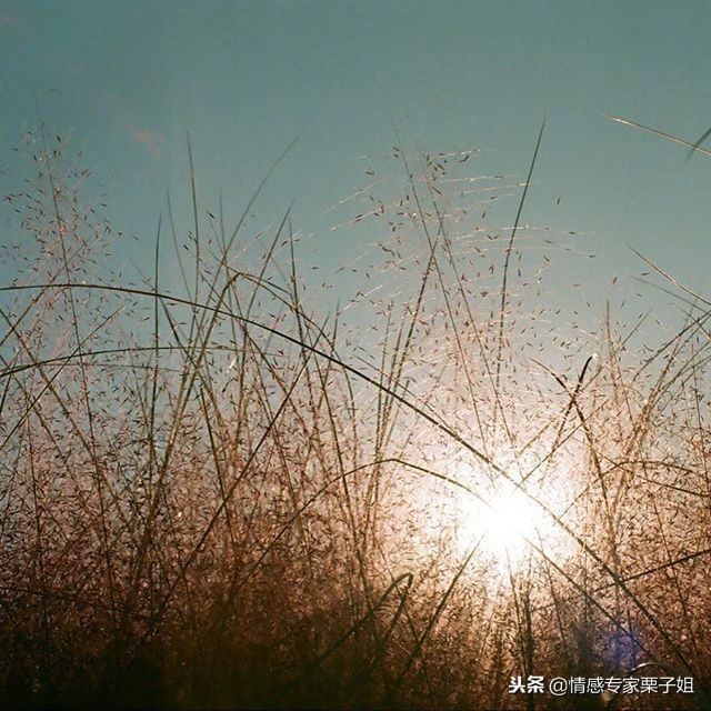 栗子姐情感专家咨询热线,情感咨询栗子每日问答