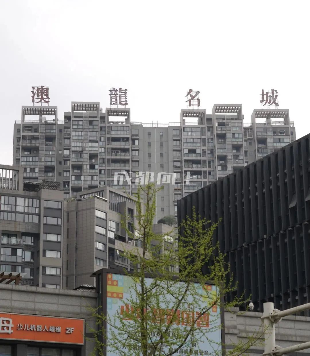 如何让成都变东京？网友：大LOGO收敛点