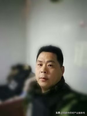 白术行情分析高鹏说药材,高鹏说药材柴胡种植前景