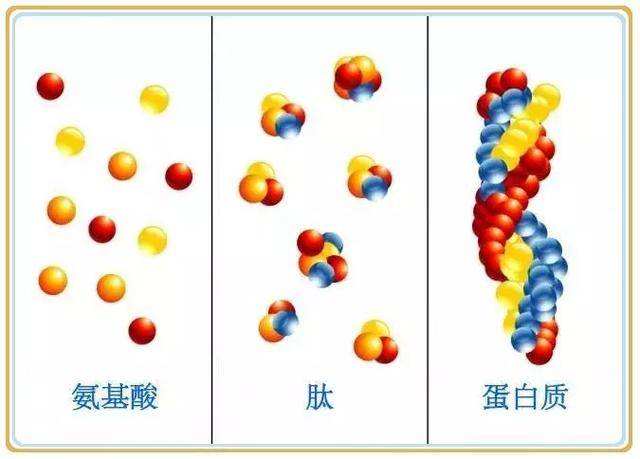 怎么辨别固体饮料和真奶粉,怎么区分固体饮料与奶粉