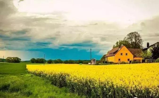 田园综合体农业项目规划,农业综合开发产业化项目