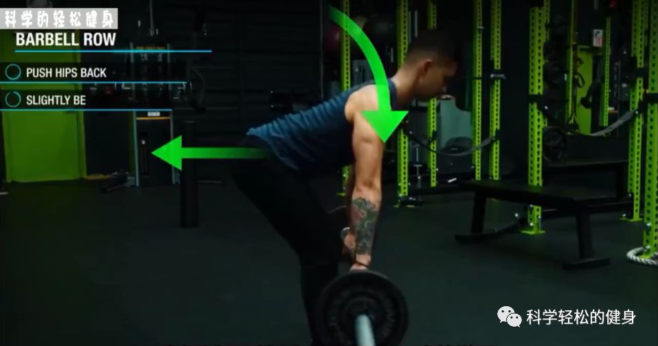 背部肌肉训练计划虐出完美的背肌,背部各个肌肉位置锻炼方法