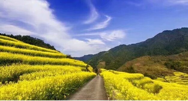 语音字形题就考这些了（七上）。必须收藏！会读会写不后悔。