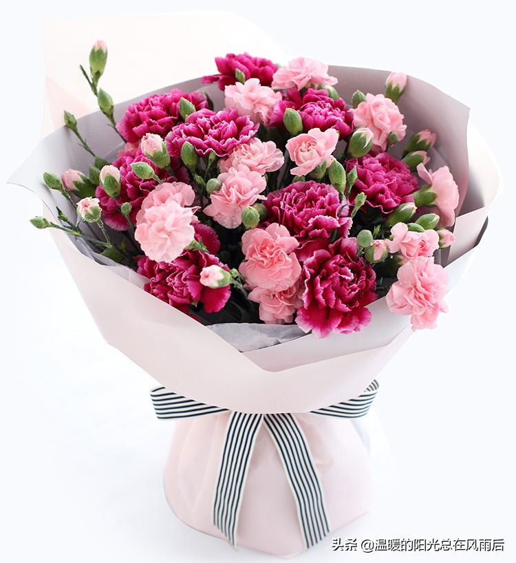 教师节送老师花还是送巧克力好,教师节送给老师的礼物怎么折花