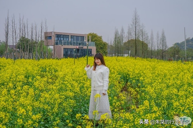 江南最大湿地风景区，不是西溪湿地，荣获中国最美湿地却少有人知