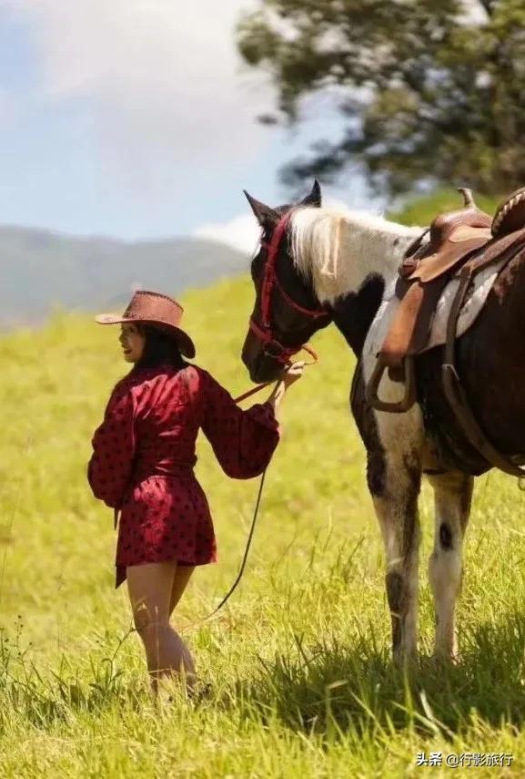 介绍一下云南的西双版纳,云南西双版纳的介绍景点