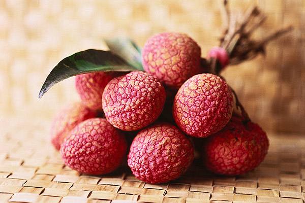 你属于什么水果？我是西瓜