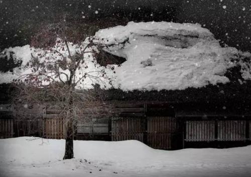 【每天一首元曲】元·关汉卿《大德歌·冬-雪纷纷》附朗读