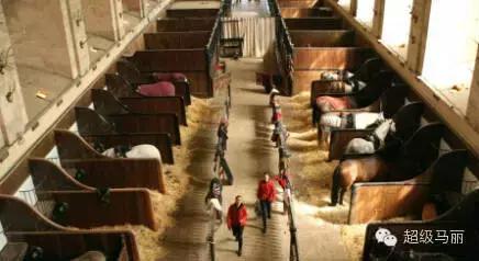 欧洲马术夏令营,草原马术夏令营