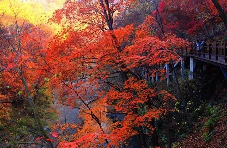 沈阳游玩景点攻略,沈阳游玩景点推荐泡温泉