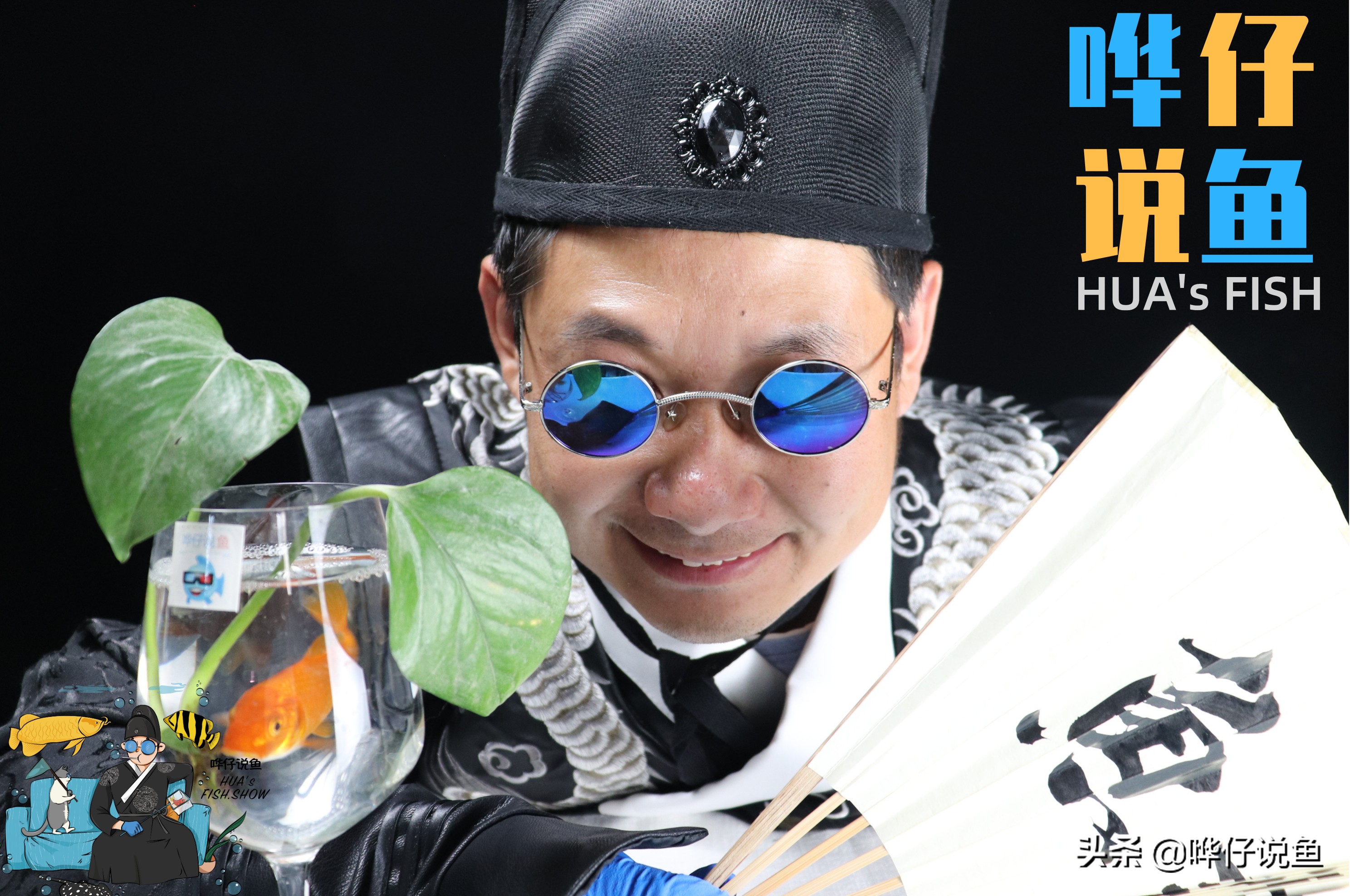 如何选择鱼粮？为观赏鱼选择口粮，有时挺烧脑