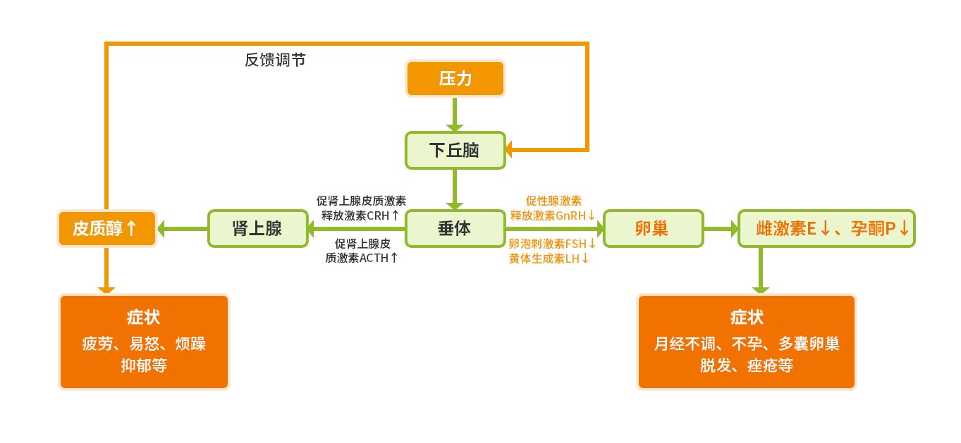最新研究发现：原来医生一直开的激素药并不能真正根治月经