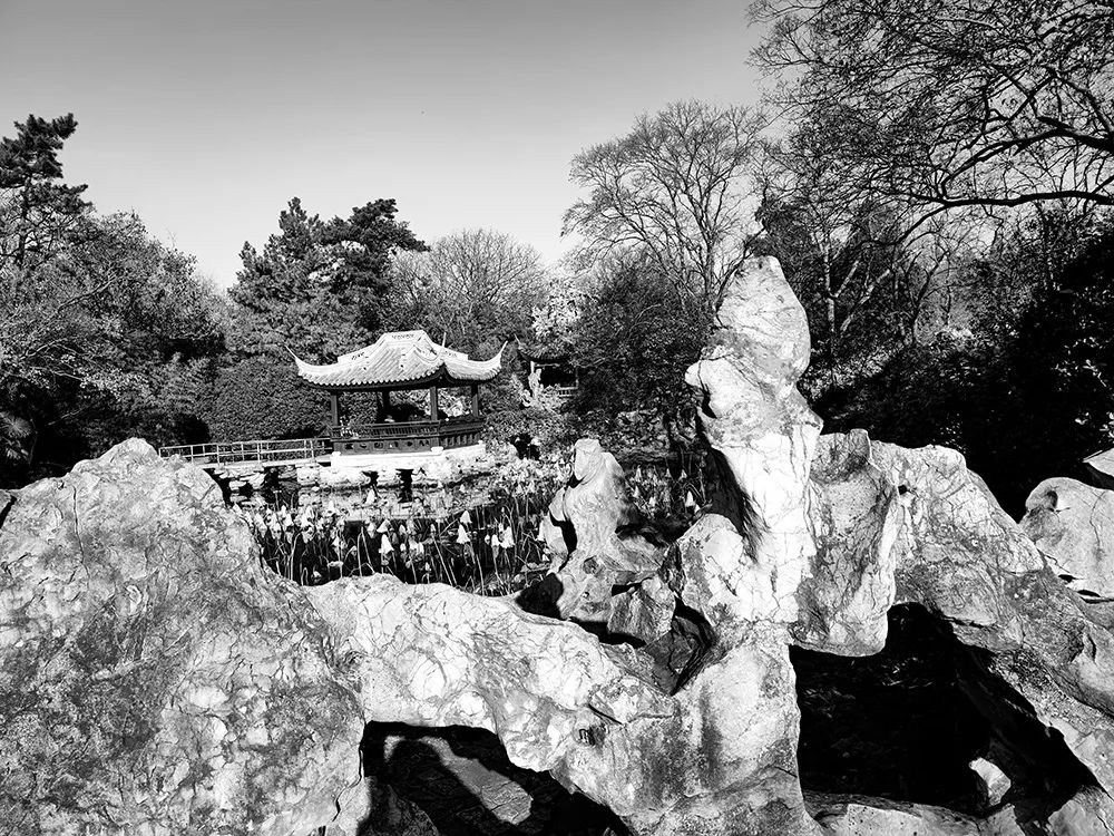 冼东文：寻找西施（蠡园情）