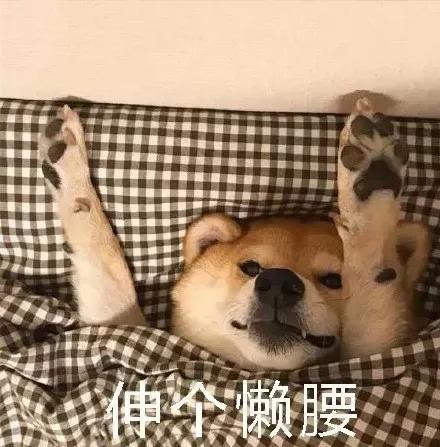 2019网络热词口头语,媒体十大热词2019