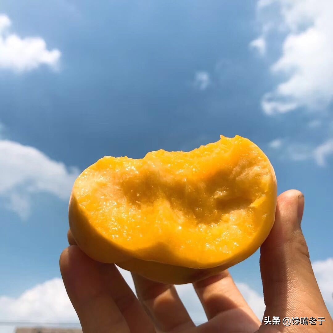 8月份吃什么水果既经济又健康,6月最该吃这5种营养水果