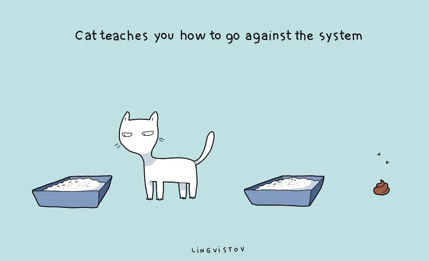 100张可爱猫咪图,超可爱的猫咪画法