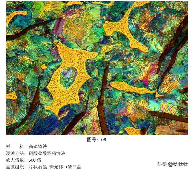 马氏体和奥氏体金相图片,马氏体和珠光体金相区别