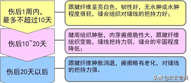 跟腱断裂的确诊方法,超详细跟腱断裂的诊断与治疗