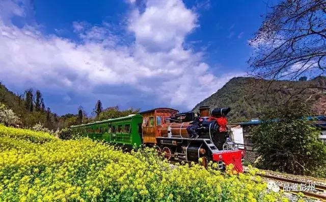 五朵金花抱团,彭州未来的发展