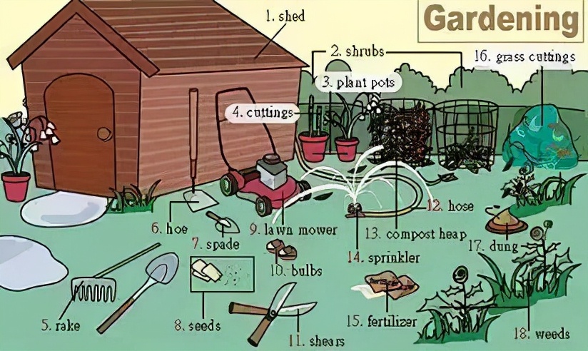 英语听力场景词汇大汇总,高一、高二、高三均适用