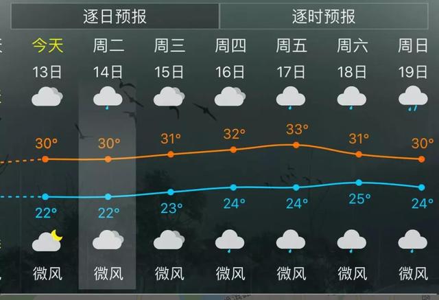 33°C！蒸桑拿？福州连续“高温”1周，还有这些消息……