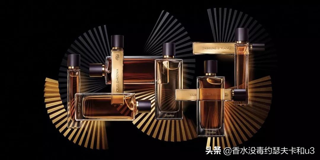 香水种草女生,娇兰香水哪个最值得入手