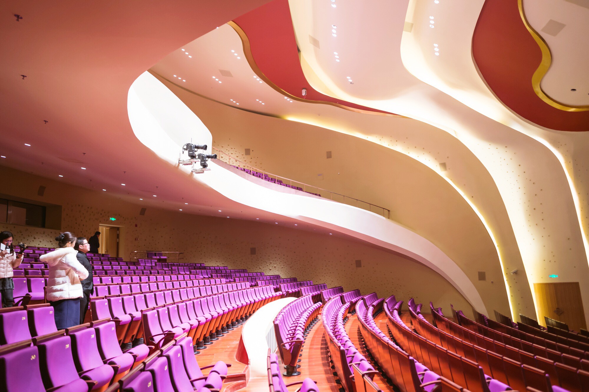 南京江苏大剧院,江苏大剧院和保利大剧院