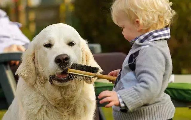 孩子说怕妈妈但又不听妈妈的话,孩子怕妈妈说什么话