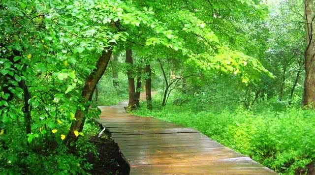 江苏园林旅游攻略,江苏有哪些免费园林景区