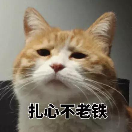 2022新款儿童防晒衣测评,学生耐克防晒衣怎么选