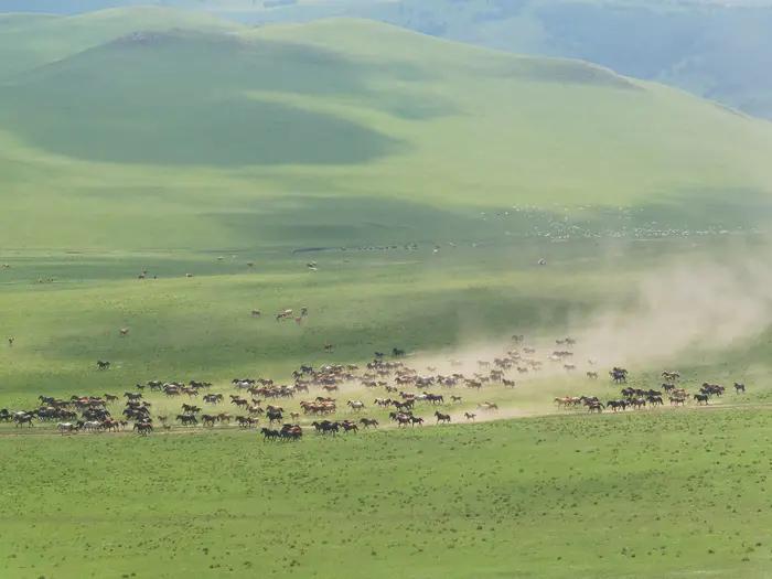 锡林郭勒草原冬天骑马,锡林郭勒盟大草原骑马