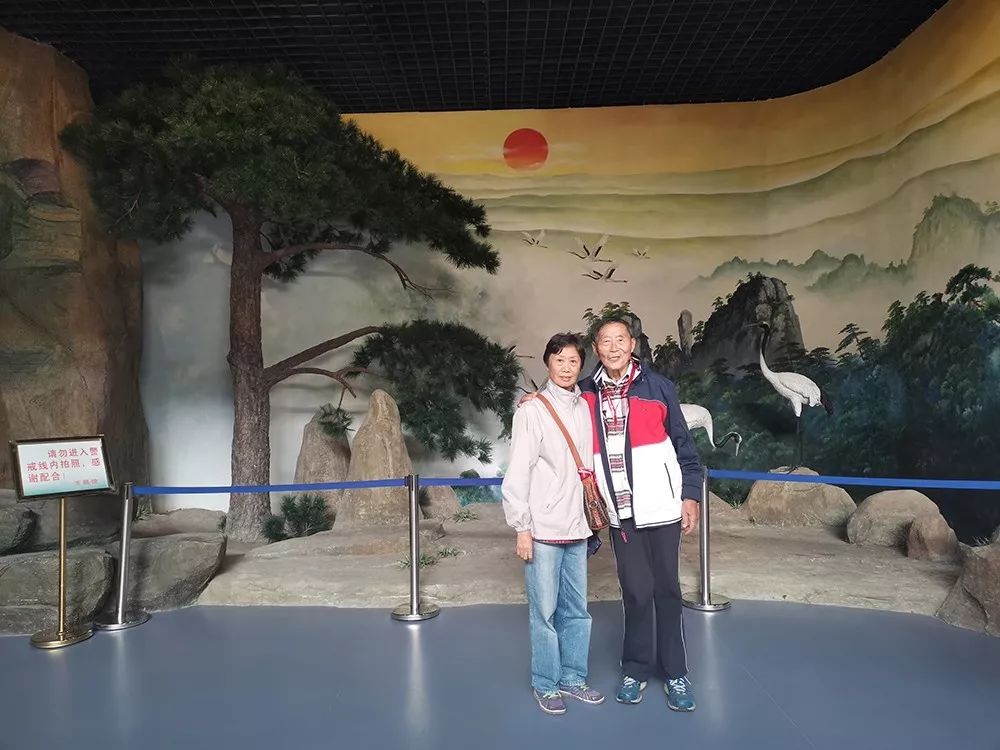 天蓝水清，云淡风轻，悠游盐城——绿地康养乐养通会员旅居盐城