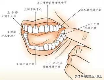 面诊、眼诊、鼻诊、耳诊、唇诊、舌诊、齿诊图...都收集齐了