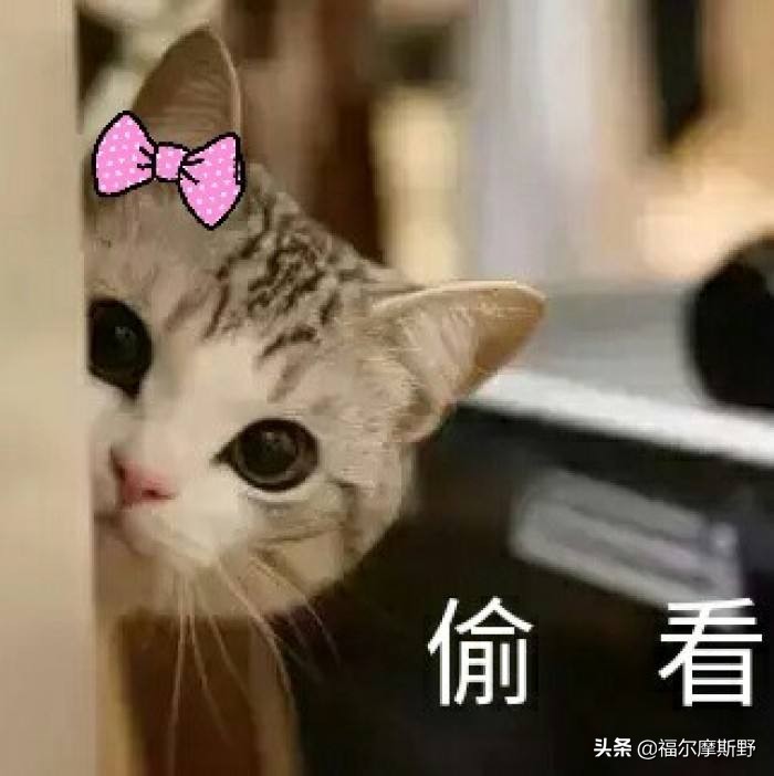 这家公司赚的不如10年前多，为何应届生都挤破头皮想去？