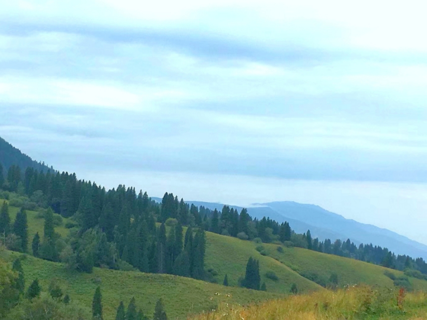 独库公路遇老乡卖蜂蜜，买上千元是假的，这年头儿老乡还能相信吗