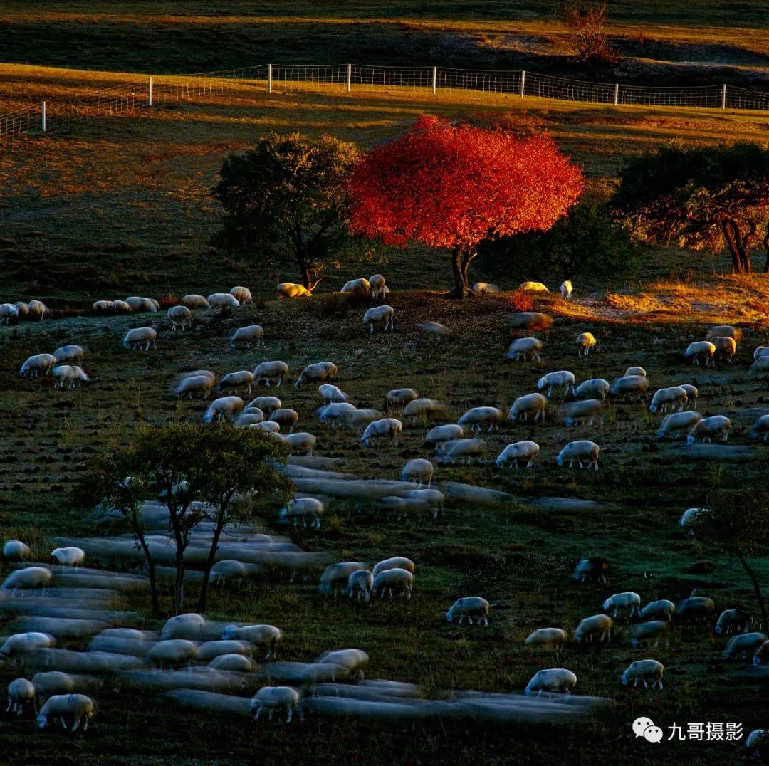 大美坝上草原全景,大美坝上风光系列之一