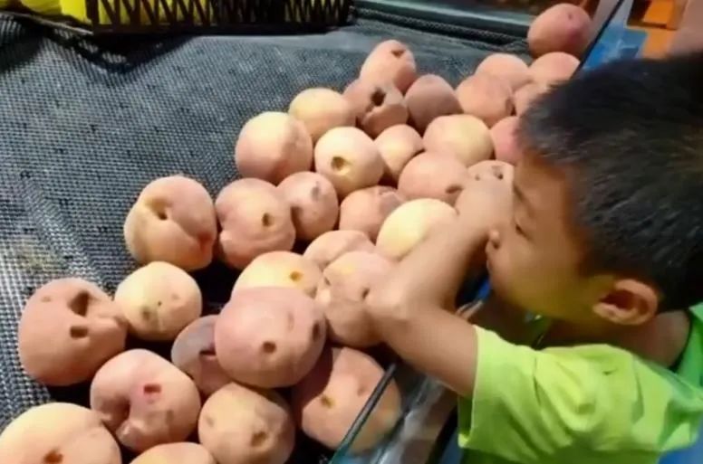 小朋友把超市的桃子扎了个洞,熊孩子把超市桃子扎了个洞