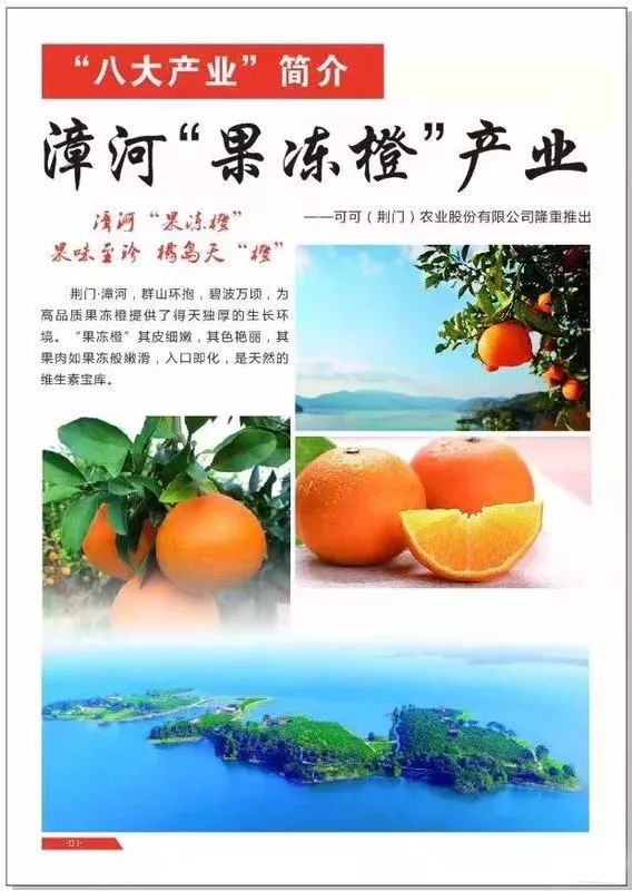 “荆品名门”荣获2019年“中国农业品牌建设学府奖”