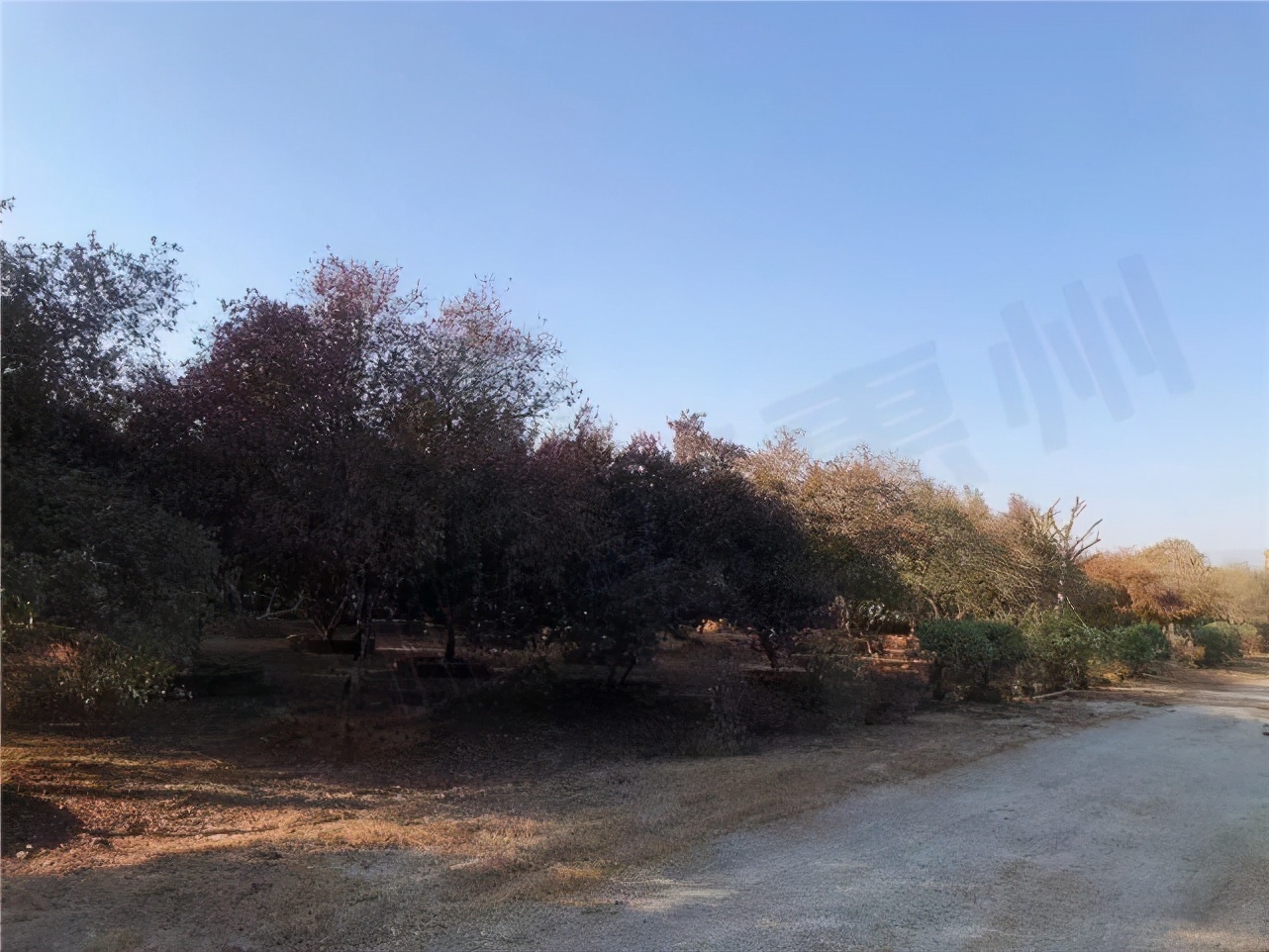 6242元/㎡，溢价高达89%，励精置业斩获博罗临莞靓地