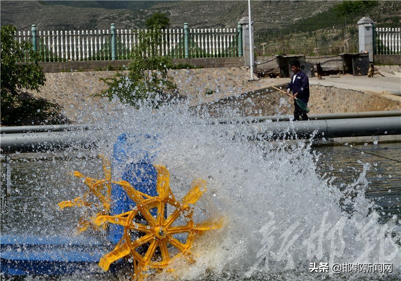 涉县索堡镇鲟鱼养殖基地,邯郸市涉县索堡镇常乐村