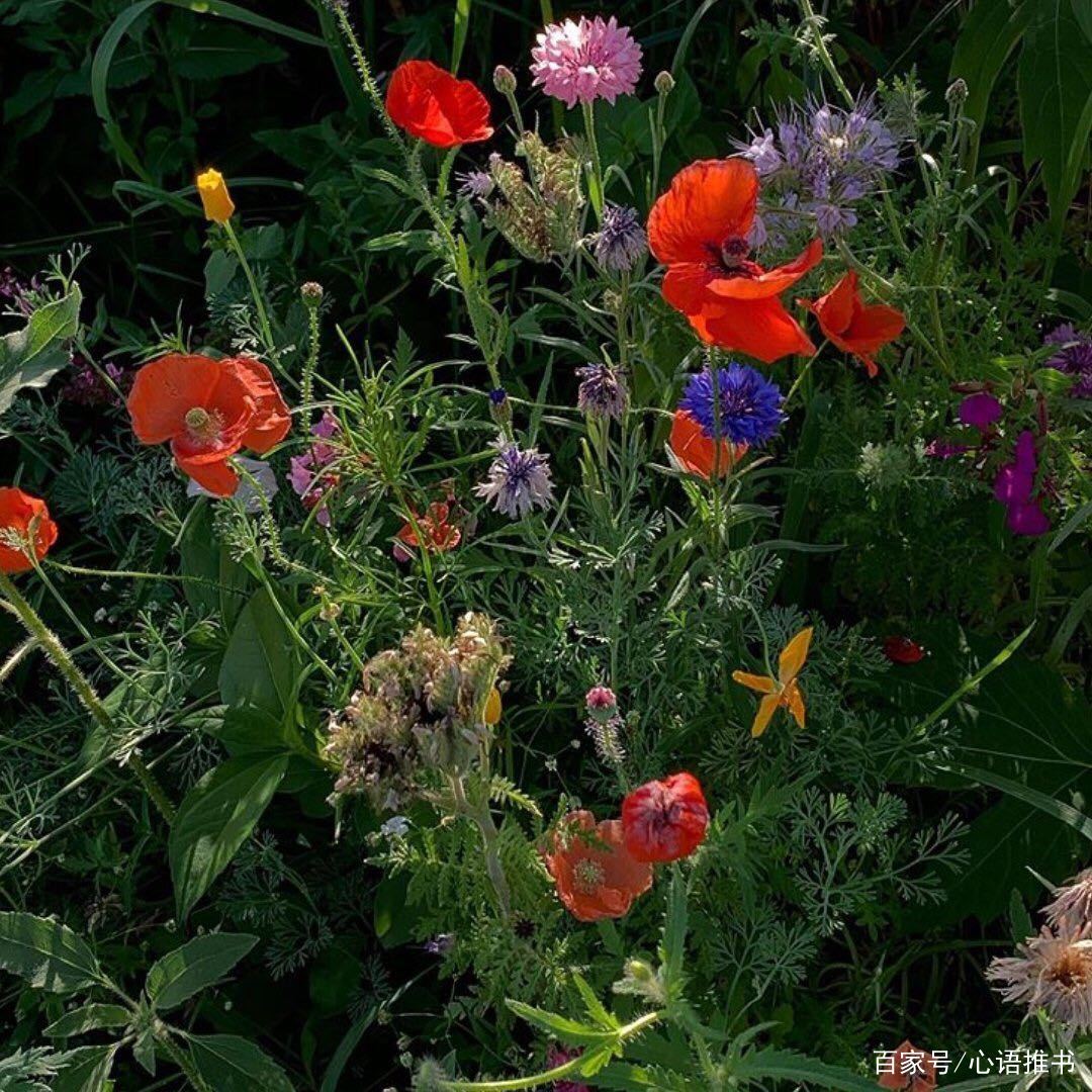 长篇糙汉军旅公路文推荐,糙汉子公路文言情小说