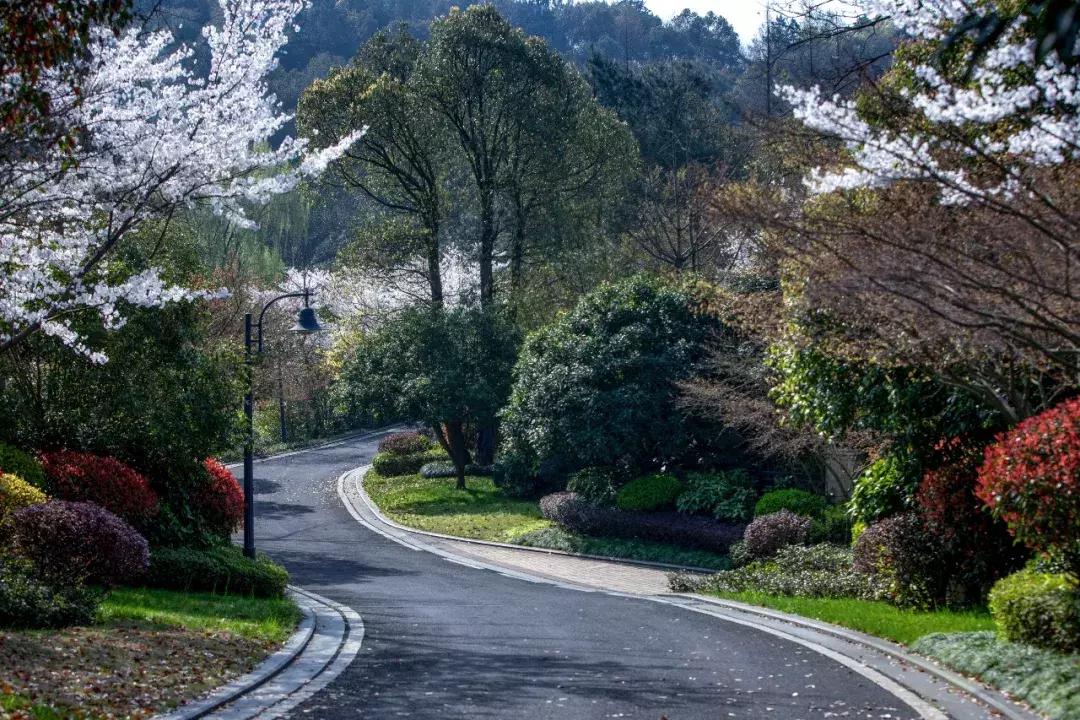 香格里拉经典风景,香格里拉自然风景